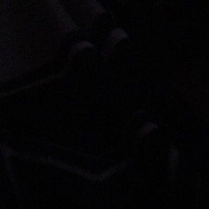 Meet your Posher, Daisy